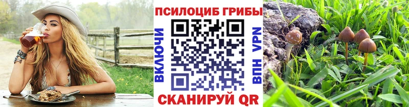 Псилоцибиновые грибы мицелий  наркошоп  Бодайбо 